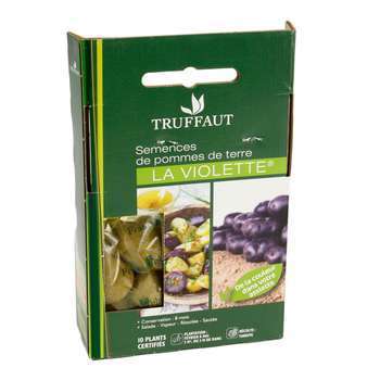 Plants de pommes de terre 'La Violette' en filet x