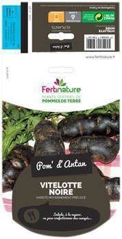 Pomme De Terre Vitelotte 25 32 10 Plt