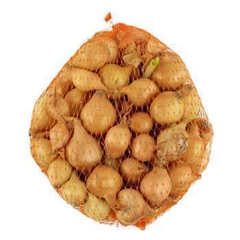 Bulbes d'oignons jaunes en filet - 250 g