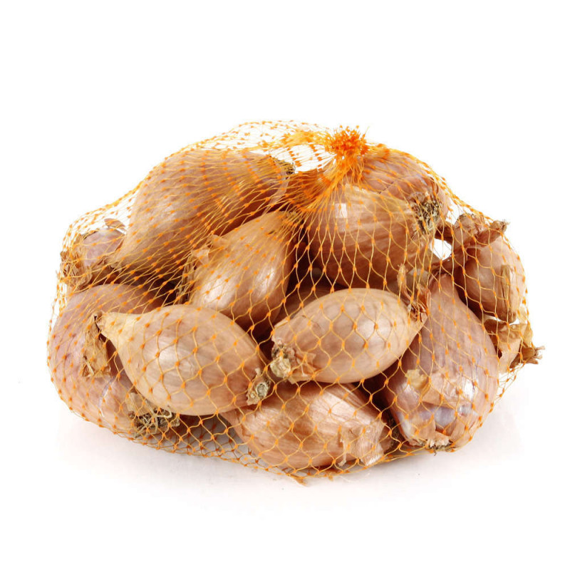 Bulbes d'échalote 'Mikor' en filet - 500 g