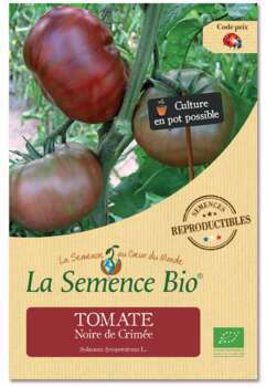 Graines potagères Tomate Noire de Crimée Bio