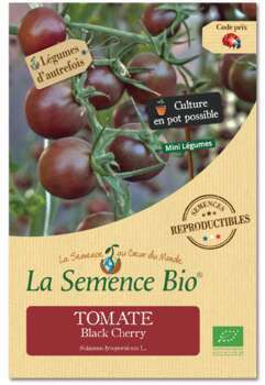Tomate Cherry Bio