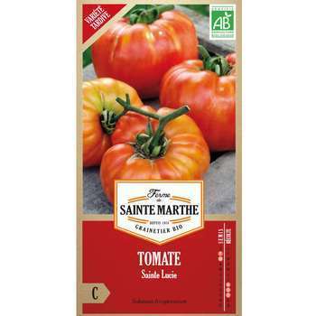 Tomate sainte lucie sachet 0,08 gr