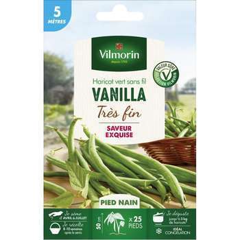 Haricot Nain Vert Vanilla