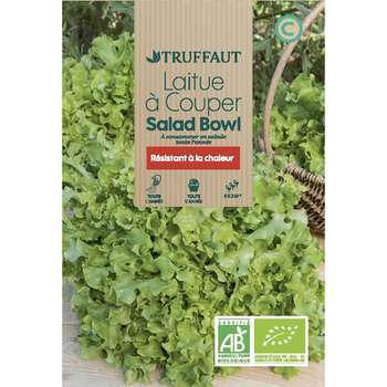 Laitue salad bowl  2 g