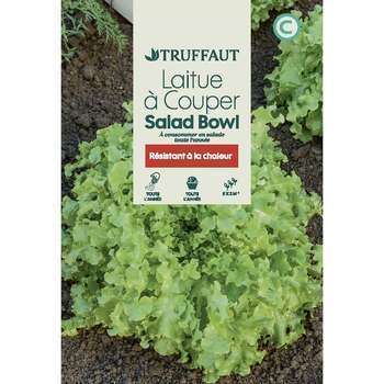 Laitue à couper Salad Bowl : en sachet