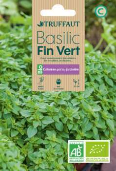 Basilic Fin Vert 0,5 g