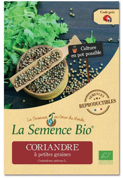 Graines Coriandre à petites graines Bio 2 g