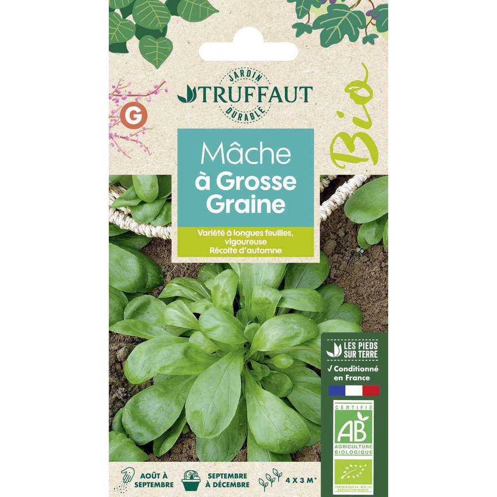 Graines De Mâche (Feldsalat) à Grosse Graine - Sachet 12g (~4200 Graines) - Variété Précoce, Goût De Noisette