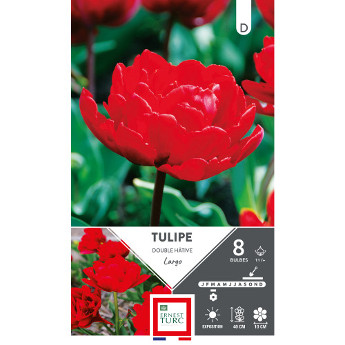 Bulbes de Tulipes doubles hâtive Largo - coloris r