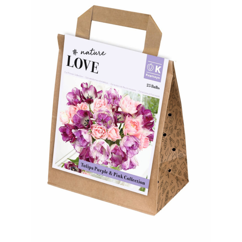 Bulbes de tulipes Purple & Pink collection, colori