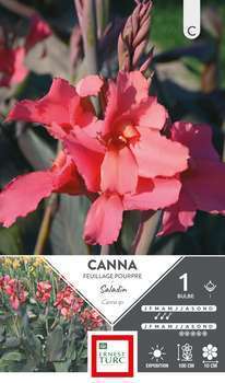 Canna Haut Saladin I X1