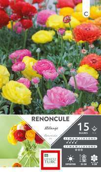 Pochette de 15 bulbes de renoncules calibre 5