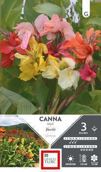 Canna Haut Melange I X3