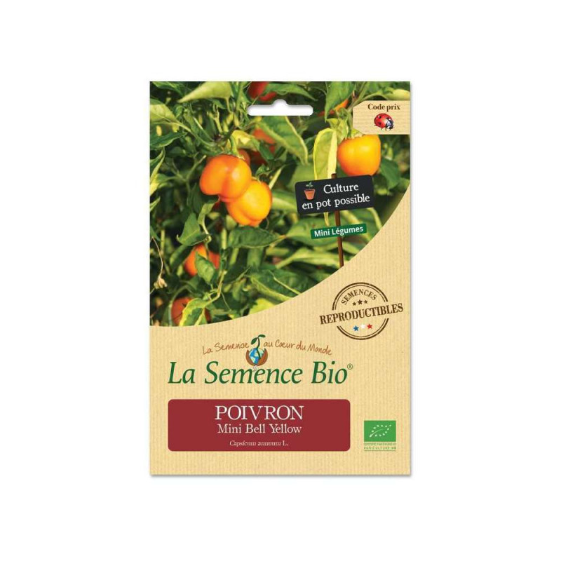 Graines de Poivron Mini Bell Yellow Bio