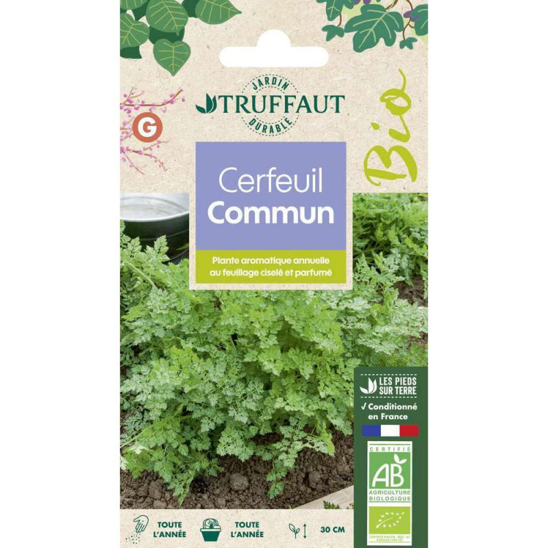 Graines de cerfeuil Commun Bio