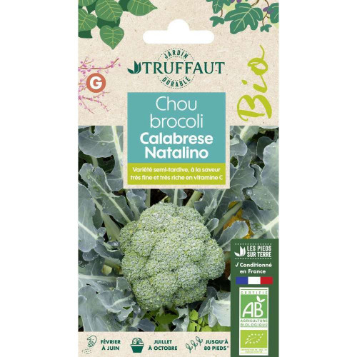 Graines de Chou Brocoli Calabrese Natalino Bio