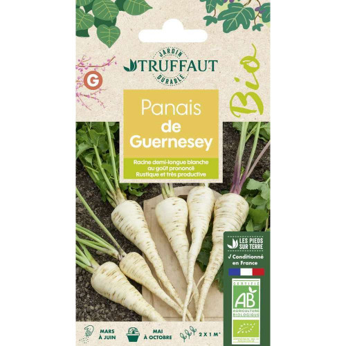 Graines de Panais de Guernesey Bio