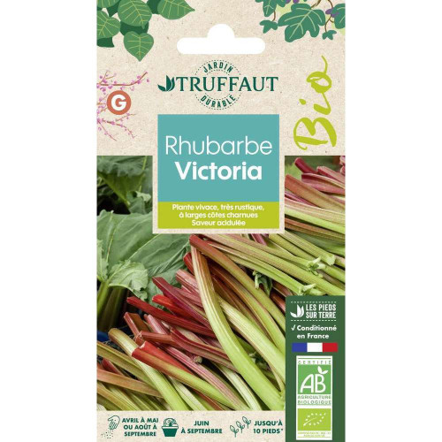 Graines de Rhubarbe Victoria Bio