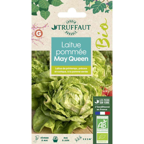 Graines de Laitue Reine de Mai de Pleine Terre Bio