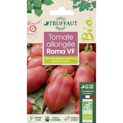 Graines de Tomate Roma V. F Bio