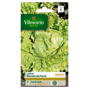 Graines de laitue Batavia Blonde de Paris en sache