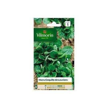 Graines de mâche verte de Louviers en sachet