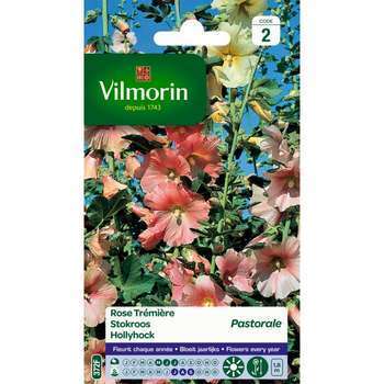 Rose trémière Pastorale : en sachet