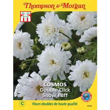 Cosmos double click snow puff