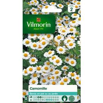 Graines de Camomille en sachet