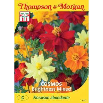 Cosmos brightness mixed