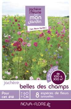 Prairies fleuries : jachères belle des champs - 10