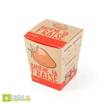 Kit Ramène ta fraise gGraines de fraisier