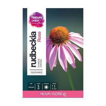 Rudbeckia : rose