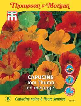 sachet de semence