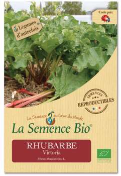Graines potagères Rhubarbe Victoria Bio en sachet