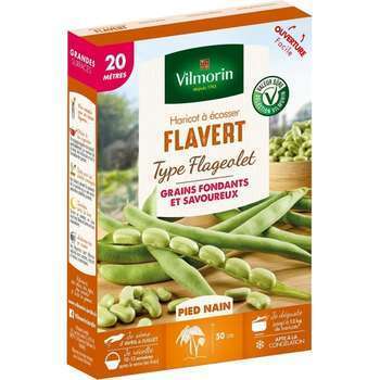 Graines de haricot nain à Ecosser Flavert (type Fl