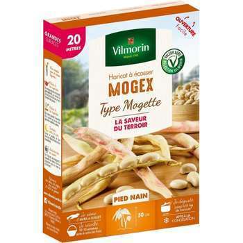 Graines de haricot nain à Ecosser Mogex (type Moge