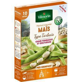 Graines de haricot Grimpant à Ecosser Maïs (type T