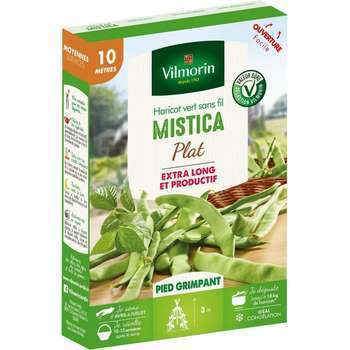 Graines de haricot Grimpant Plat Vert Mistica en b