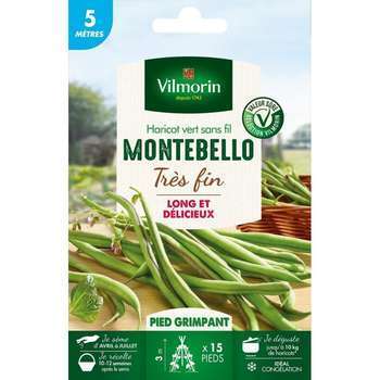 Graines de haricot Grimpant Vert Montebello - 5 M