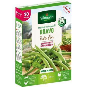 Graines de haricot nain Vert Bravo en boite