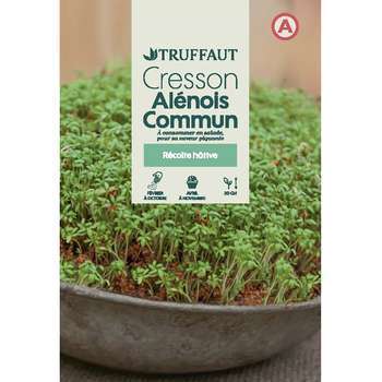 Graines de Cresson Alenois commun en sachet