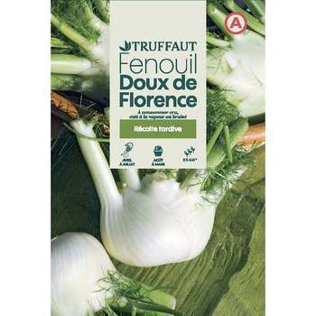 Graines de fenouil doux de Florence en sachet