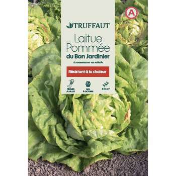Graines de laitue du bon jardinier en sachet