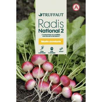 Graines de radis national 2 en sachet