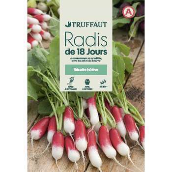 Graines de radis de 18 jours en sachet