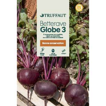 Graines de betterave Globe 3 en sachet