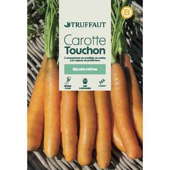 Graines de carotte Touchon en sachet