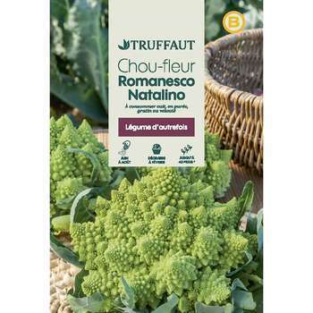 Graines de chou fleur romanesco en sachet